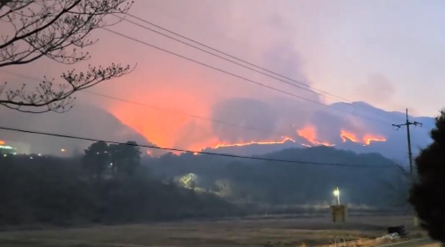fire_korea