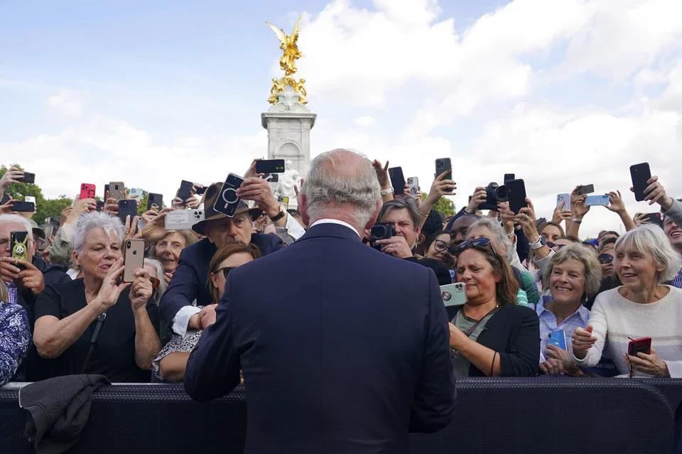 4319793008152553 image