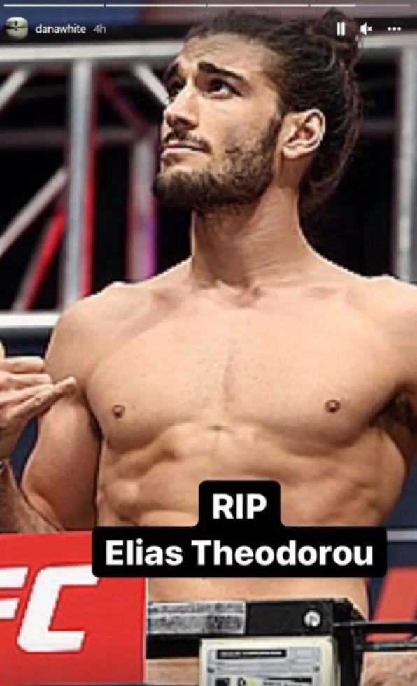 4323741327722551 image