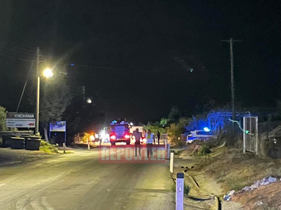 4333210928090462 tria