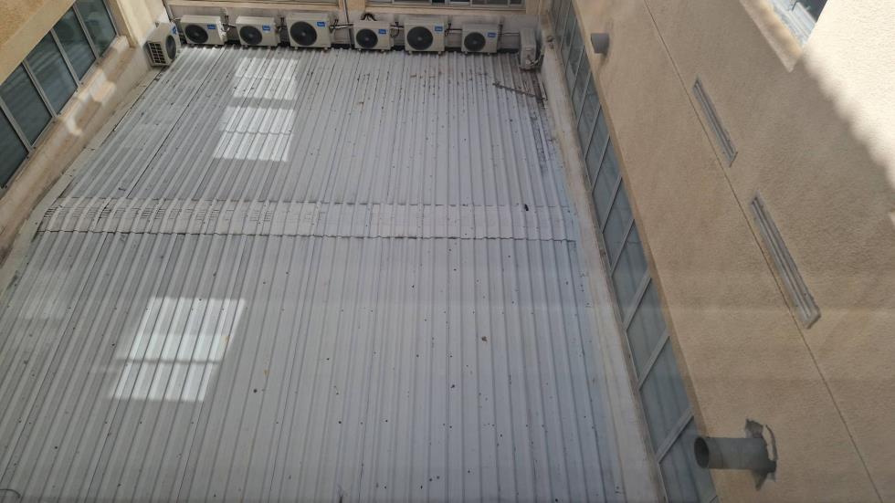 4335200305381966 image