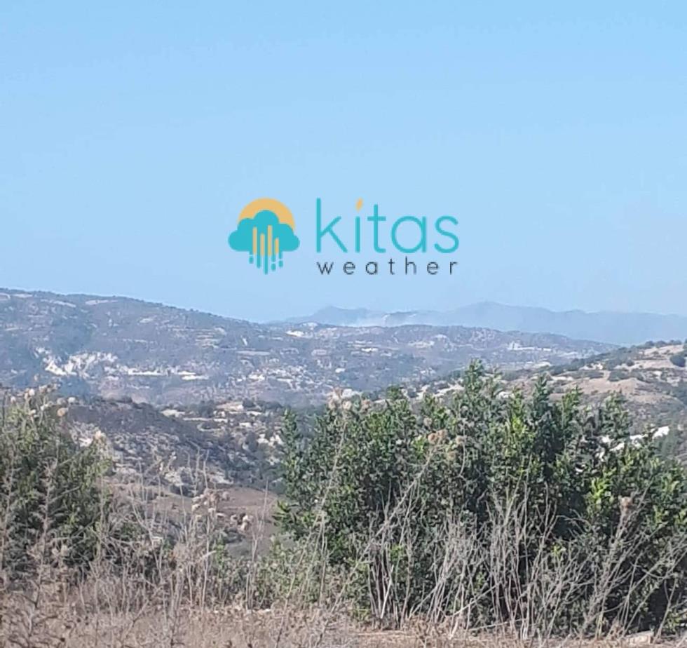 4337023869528642 image