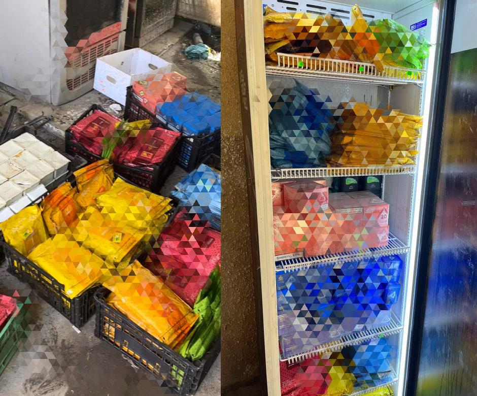 4337083978099561 image