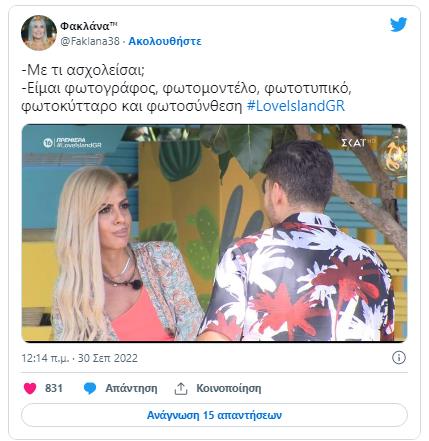 4337645915904419 image