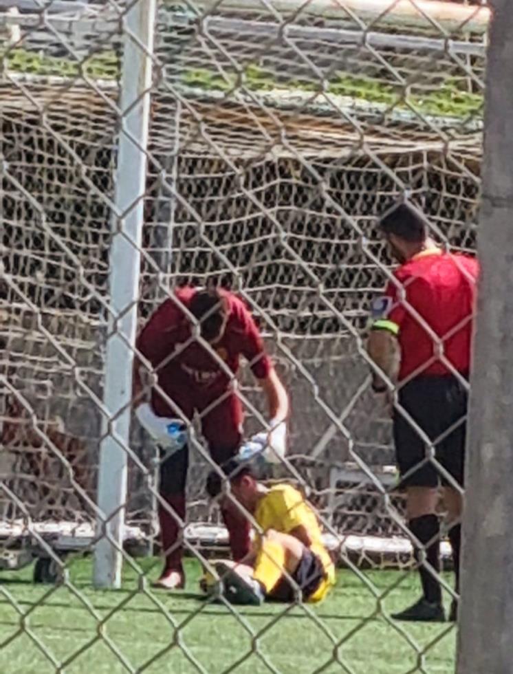 4338772523775583 image