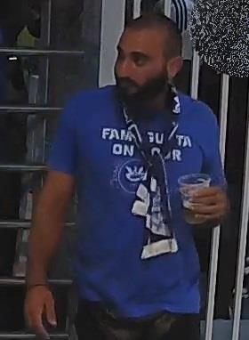4342175343495085 image