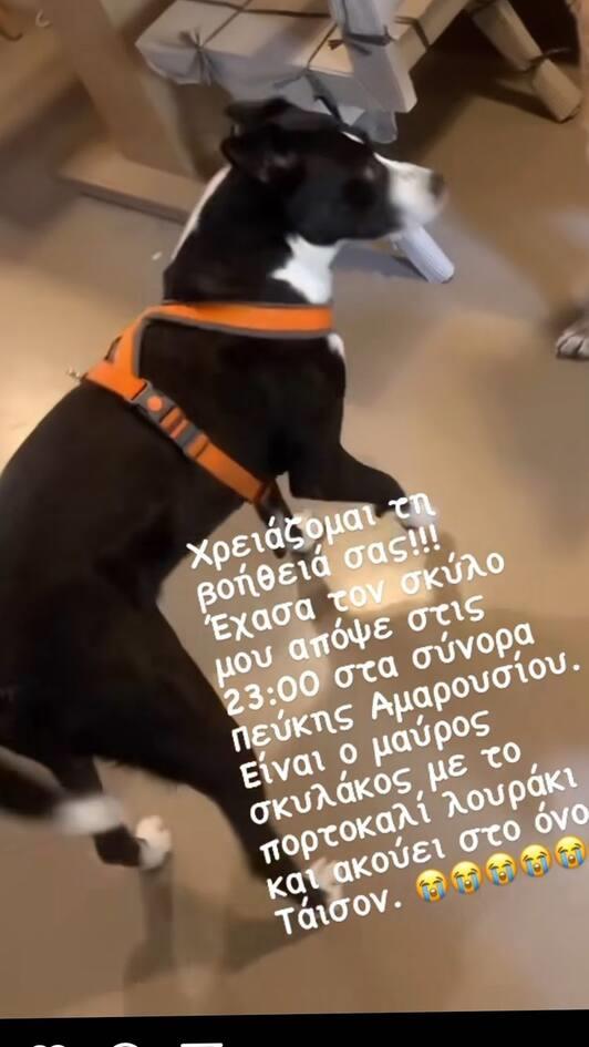 4349721197758043 unknown 311328362 786949802417956 5303487112884278687 n