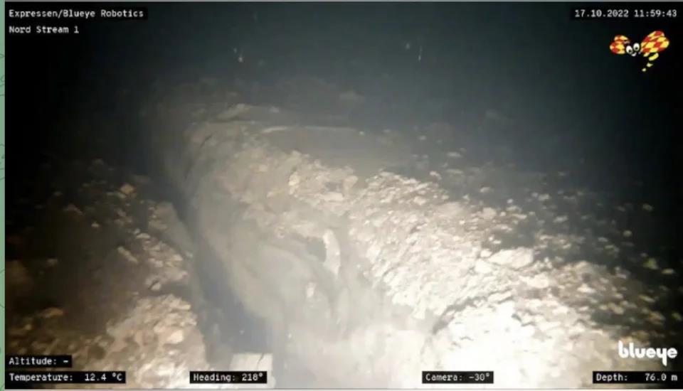 4353254852367443 image