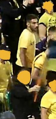 4382080263177834 image