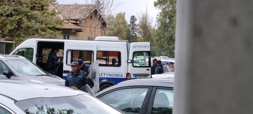 4397646063924943 image