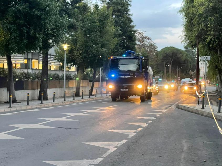 4397646374220877 image