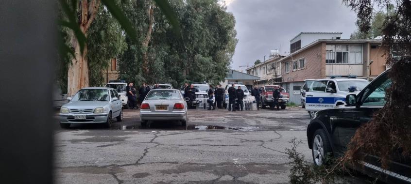 4397646707917711 image