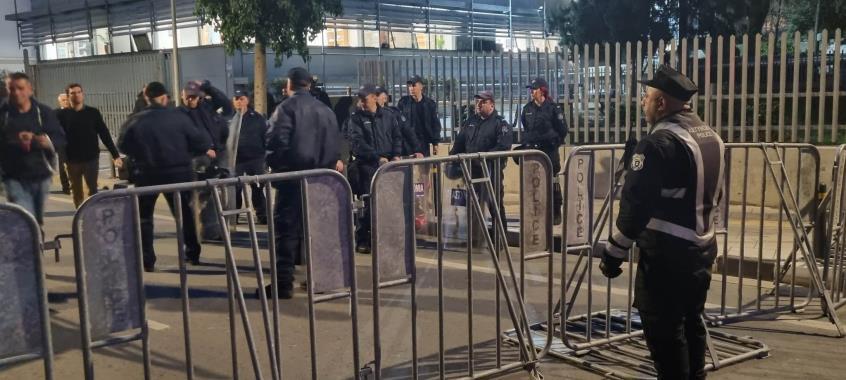 4397647161266031 image