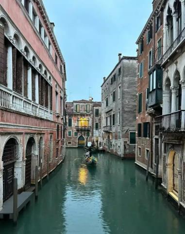 4399901971195815 image