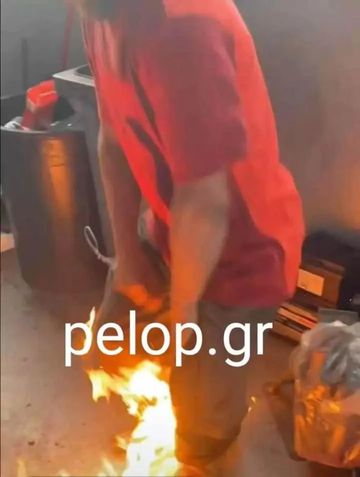 4419730377667921 image
