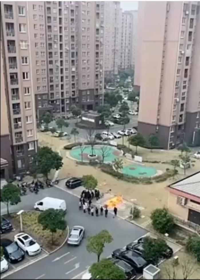 4420911189544491 image