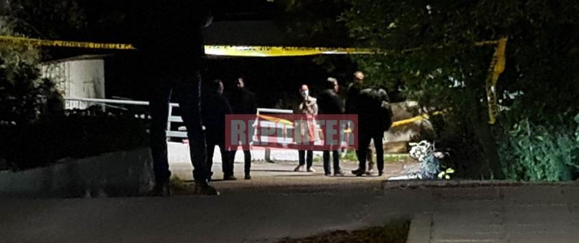 4421674671336612 image