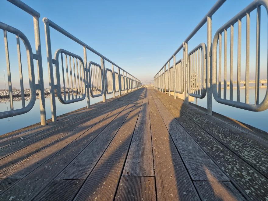 4425002278111195 image