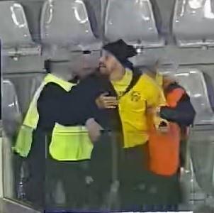 4428536015849374 image