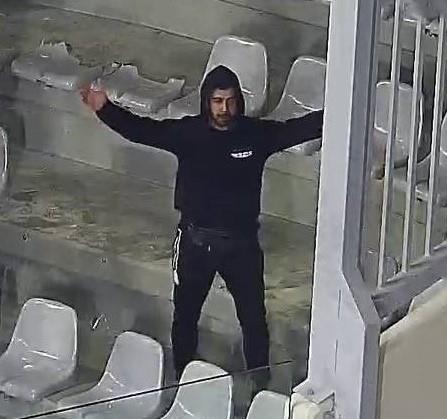 4428536132541114 image