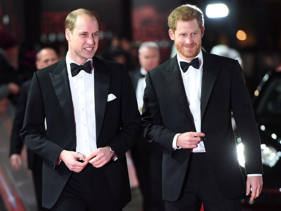 4431844985520547 prince-harry-prince-william-f06b0f9286ed4203a6bd3fb65f2d3b4a