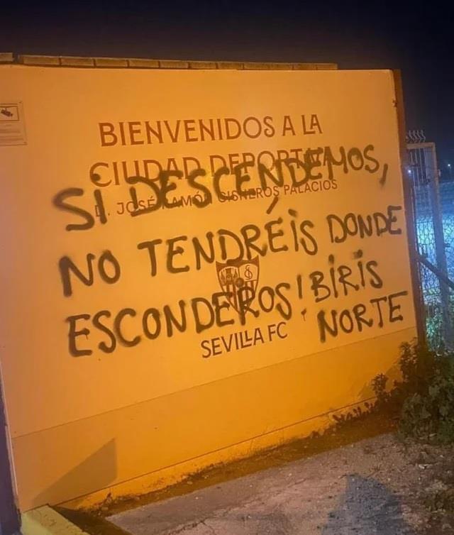 4432619879628561 image