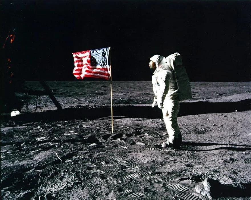 4435521044123981 image