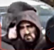 4436471958993504 image