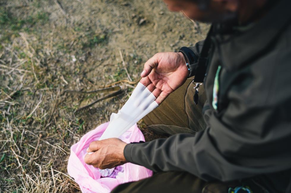 4436995014158243 image