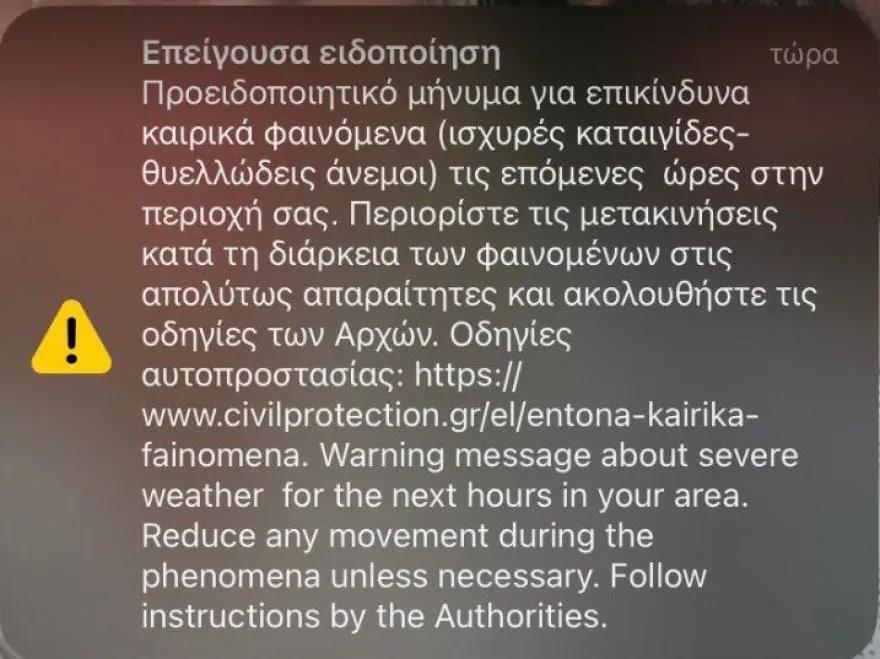 4439666553029356 image