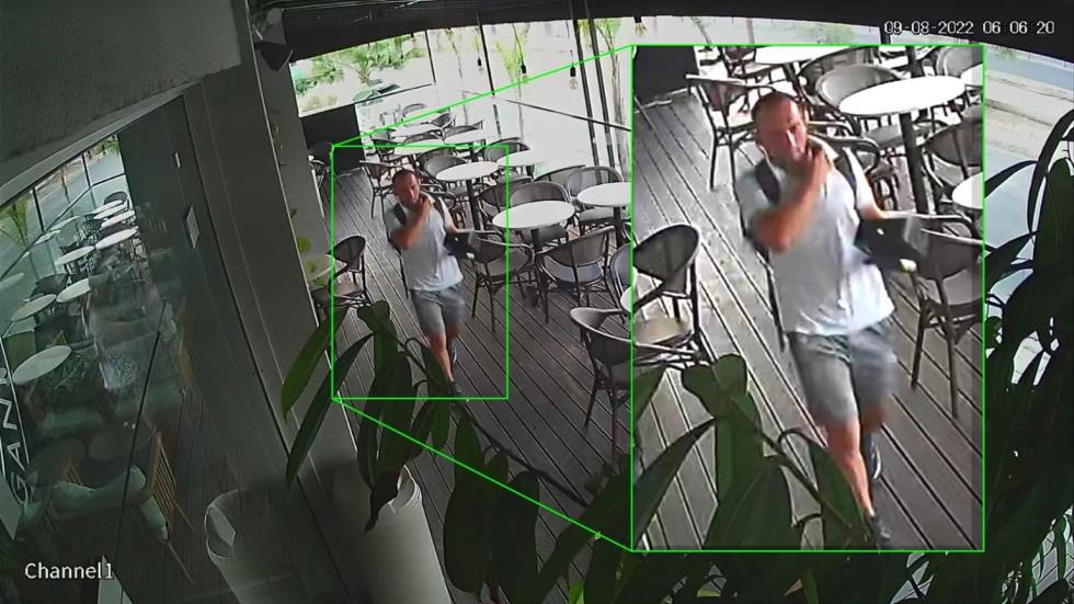 4443249448293055 image