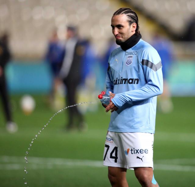 4446852461191501 image