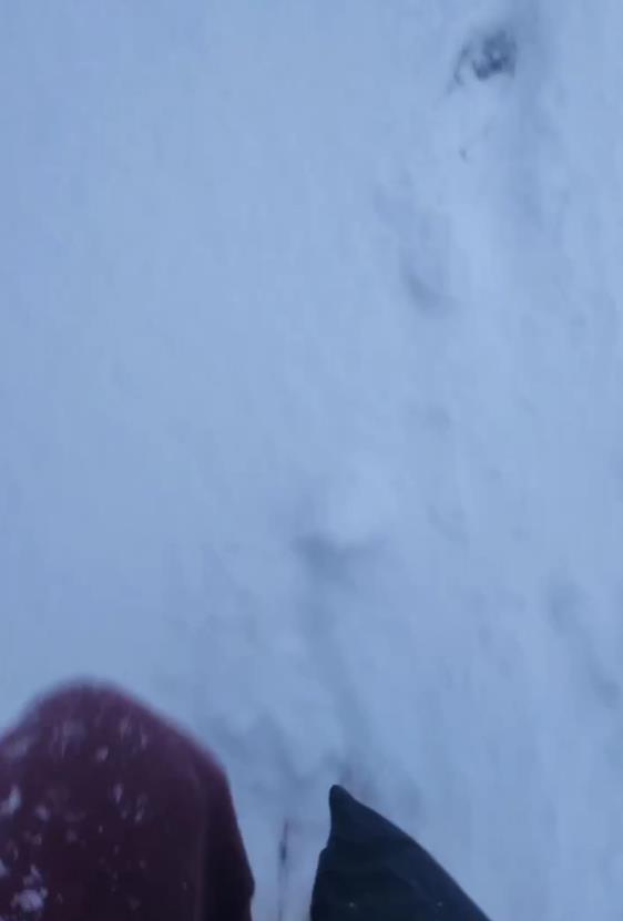 4449203535600763 image