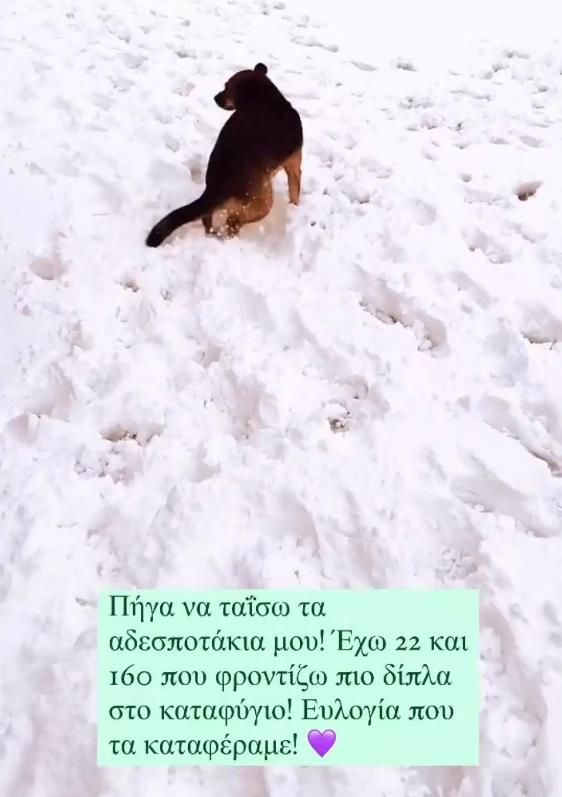 4449203860078683 image
