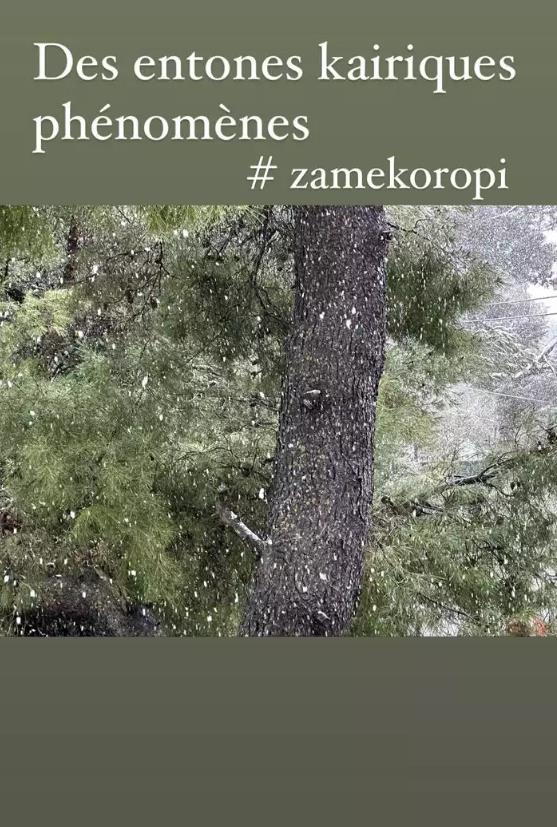 4449204286111952 image