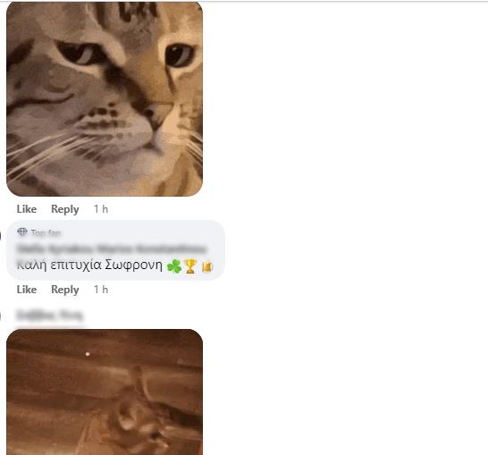 4449326540235340 image