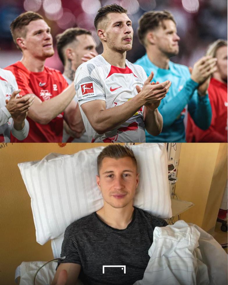 4454525052188109 image