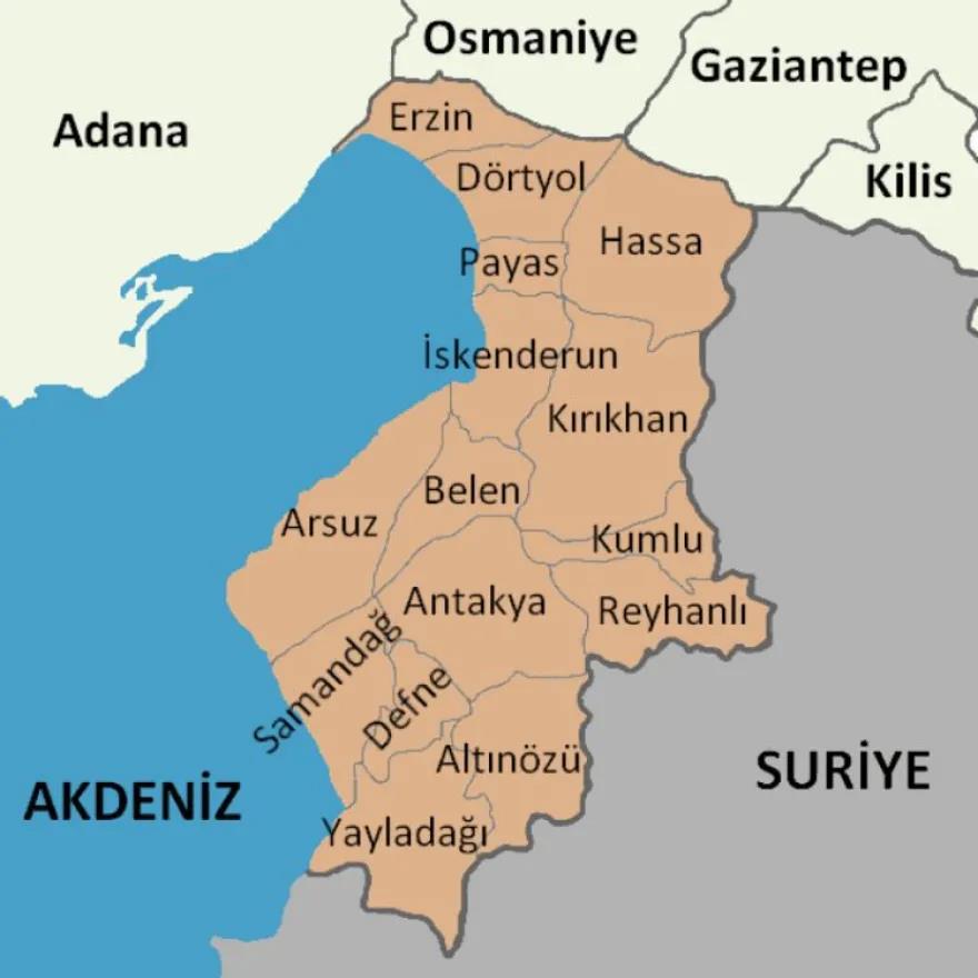 4455149562166541 image