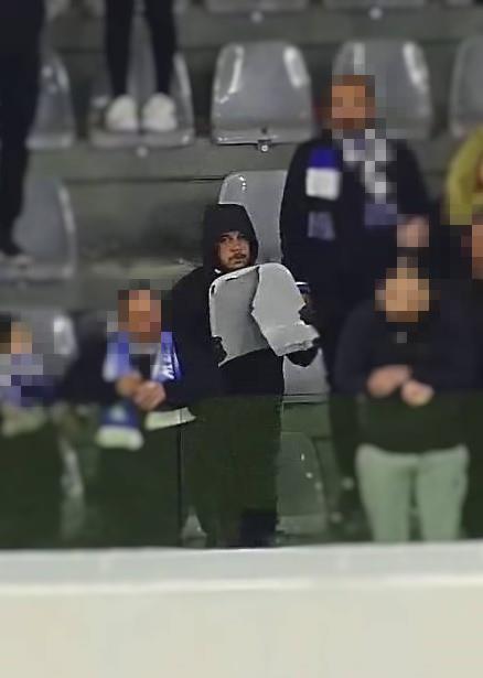 4455451011047803 Image-3-1