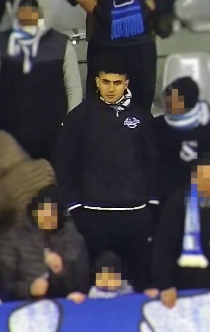 4455451191538646 image