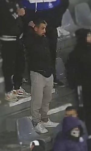 4455451290598011 image