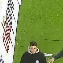 4455451360797561 image