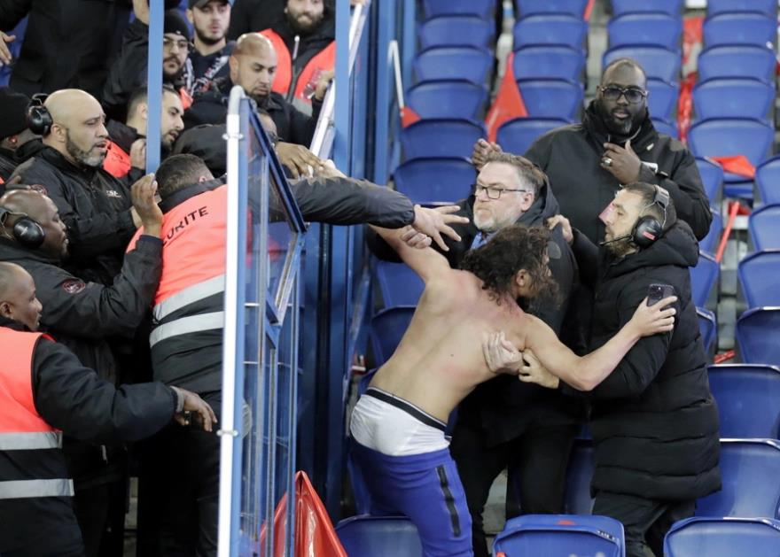 4457208705877189 image