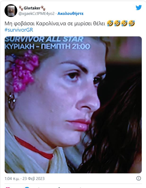 4463880183182310 image
