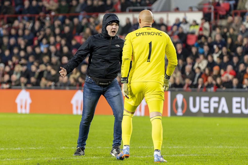 4464595918387649 image