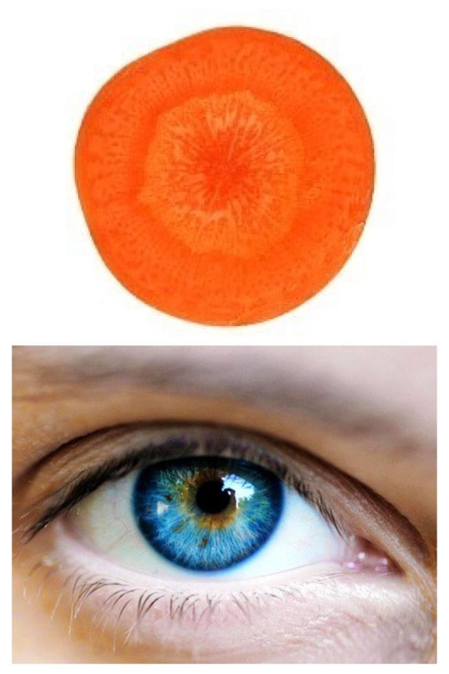 karoto.jpg