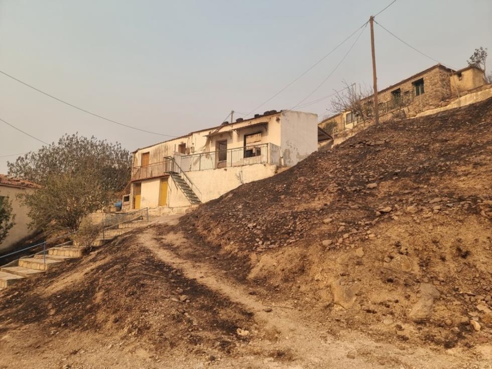 5243494617319859 pispilounta-xios 1