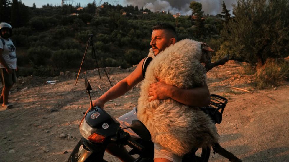 5243525129298932 patracity wildfires-ap-xrwma (1)