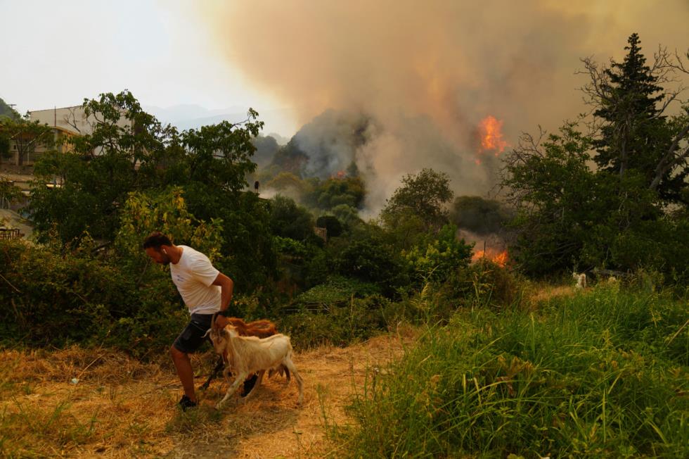 5243525173544368 patracity wildfires-ap-1