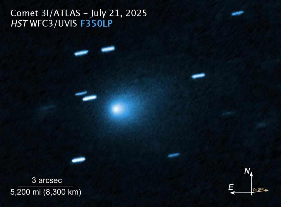 5248669389685963 image